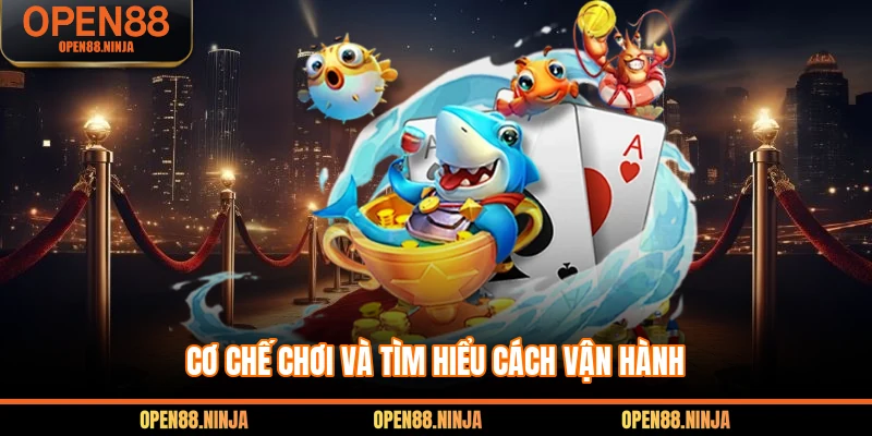 Cơ chế chơi và tìm hiểu cách vận hành