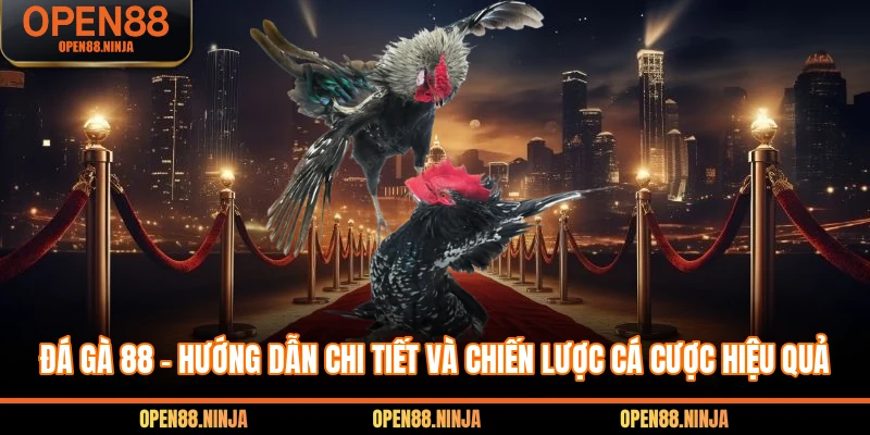 Đá Gà 88 - Hướng Dẫn Chi Tiết Và Chiến Lược Cá Cược Hiệu Quả