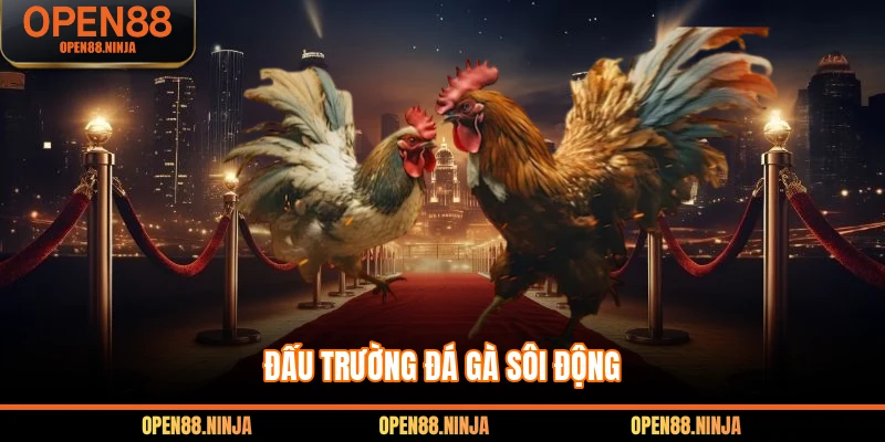 Đấu trường đá gà sôi động