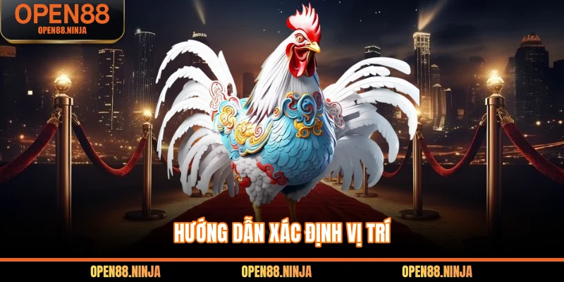 Hướng dẫn xác định vị trí vảy gà huyền trâm