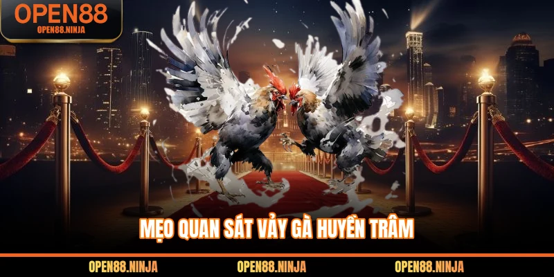 Mẹo quan sát vảy gà huyền trâm
