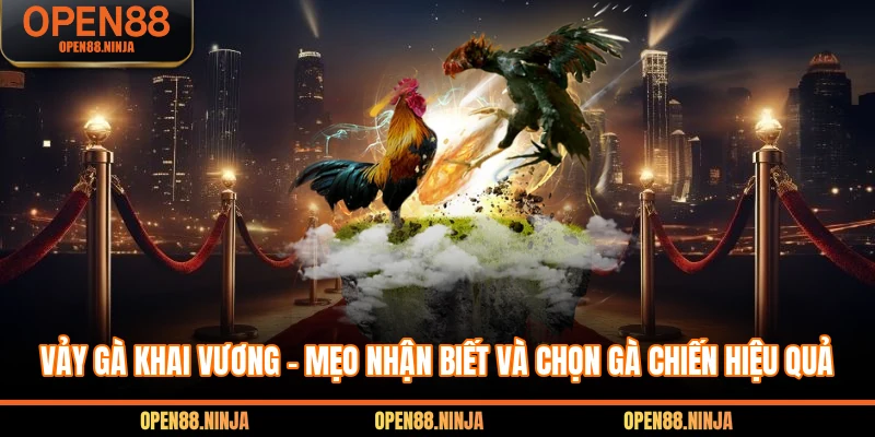 Vảy Gà Khai Vương - Mẹo Nhận Biết Và Chọn Gà Chiến Hiệu Quả